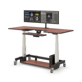 Ergonomic Sit & Stand Up Desk